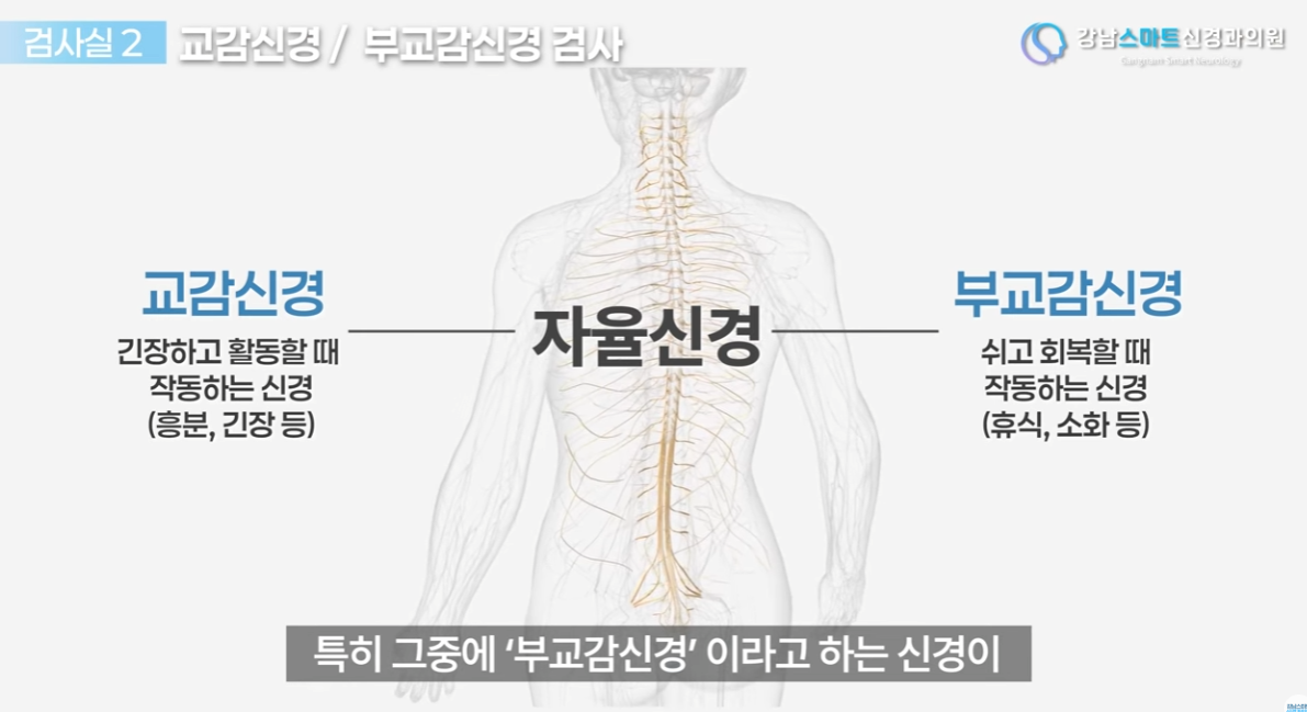 저혈압 어지러움 자율신경계