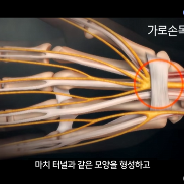naver_blog_thumb