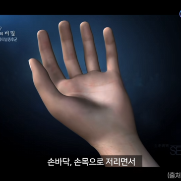 naver_blog_thumb