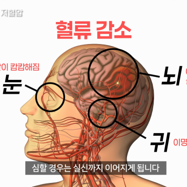 naver_blog_thumb